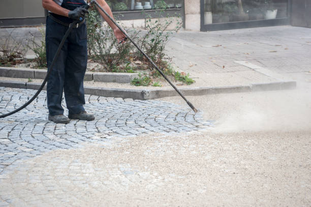 Best Driveway Pressure Washing  in Lebanon, MO